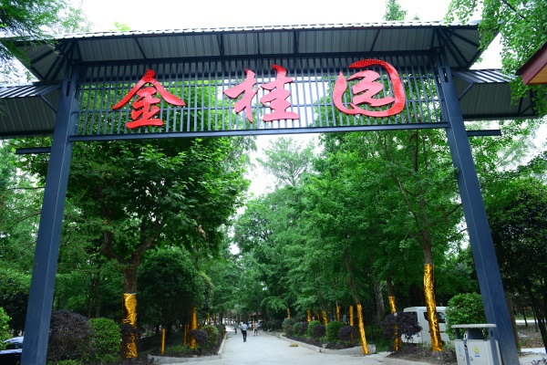 金桂园